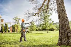 Best Leaf Removal  in Edgewood, WA