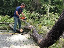 Mulching Services in Edgewood, WA